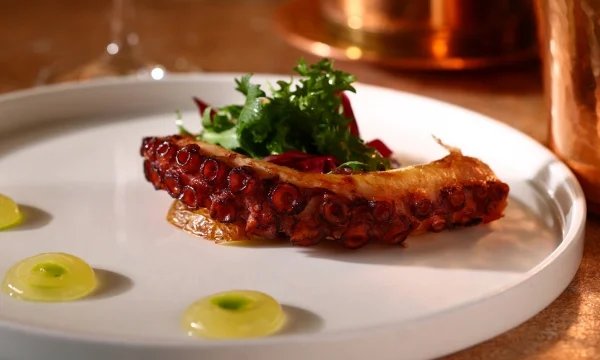 Octopus
